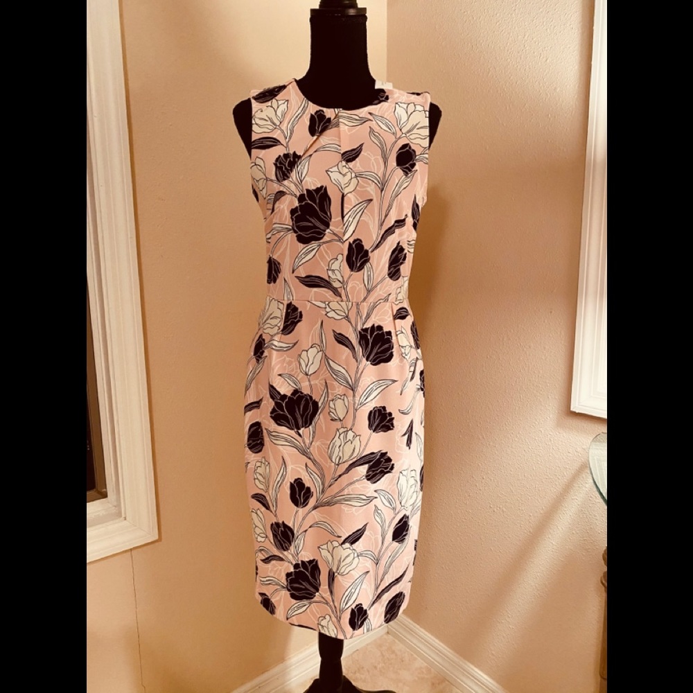 Banana Republic Sleeveless Dress ~ Size 6